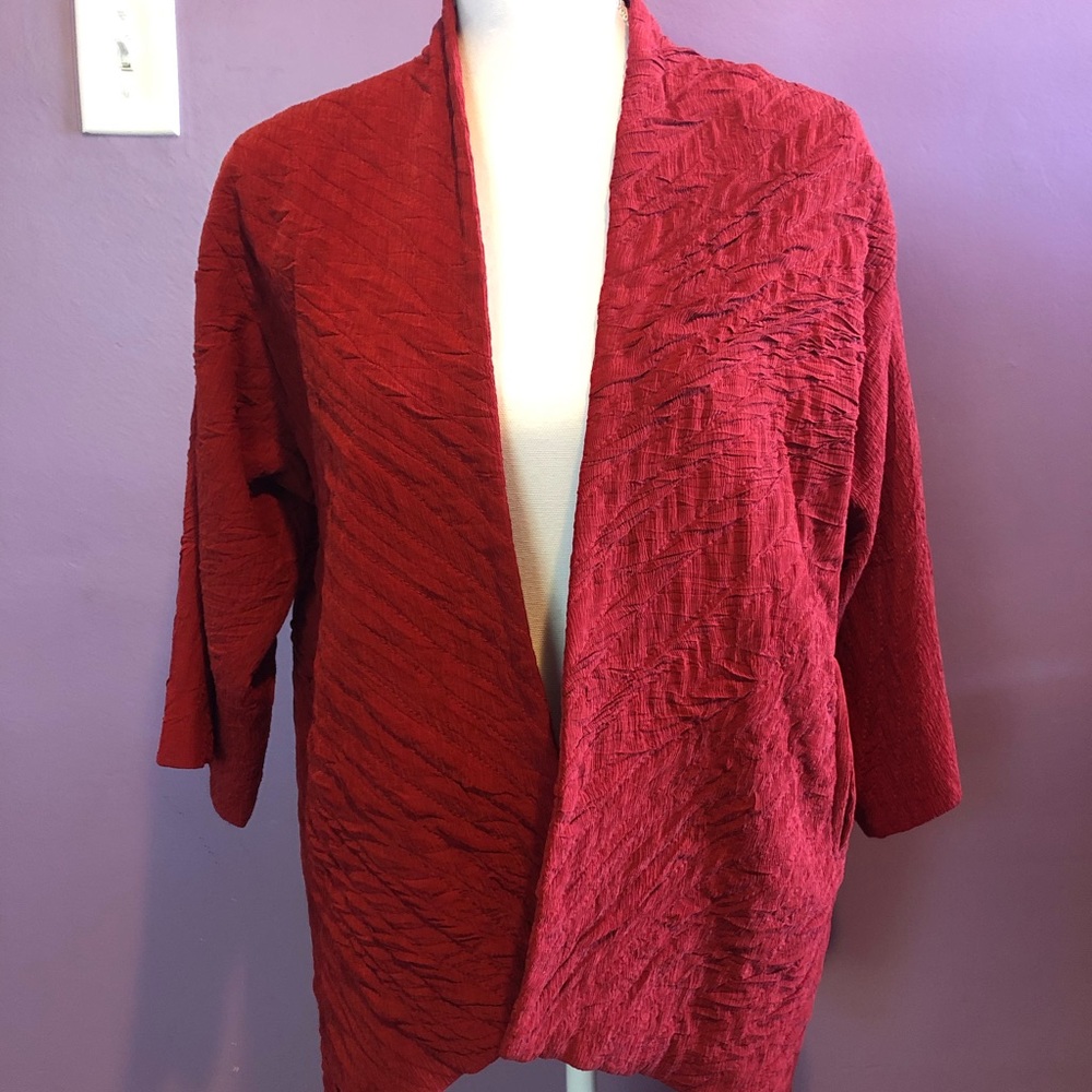 KISS OF THE WOLF Red Raw Silk Jacket EUC O…